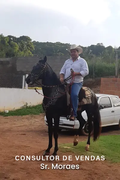 foto moraes